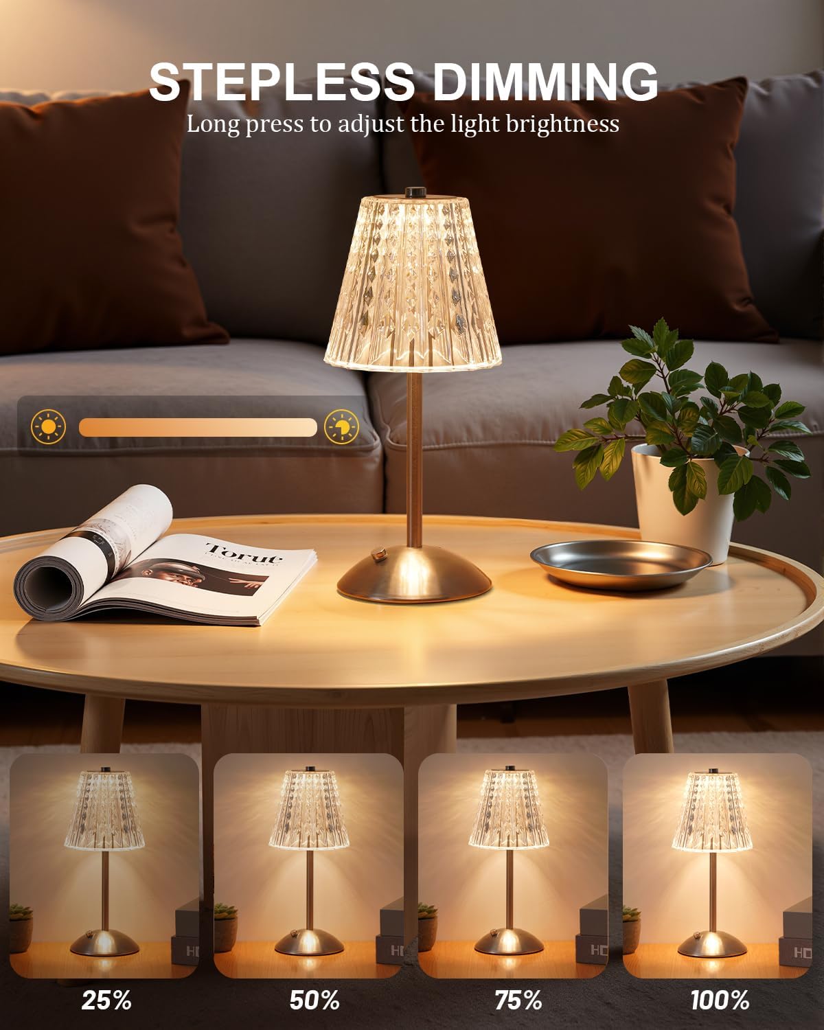 Nusogon Cordless Touch Table Lamp, LED Rechargeable Small Dask Lamp
