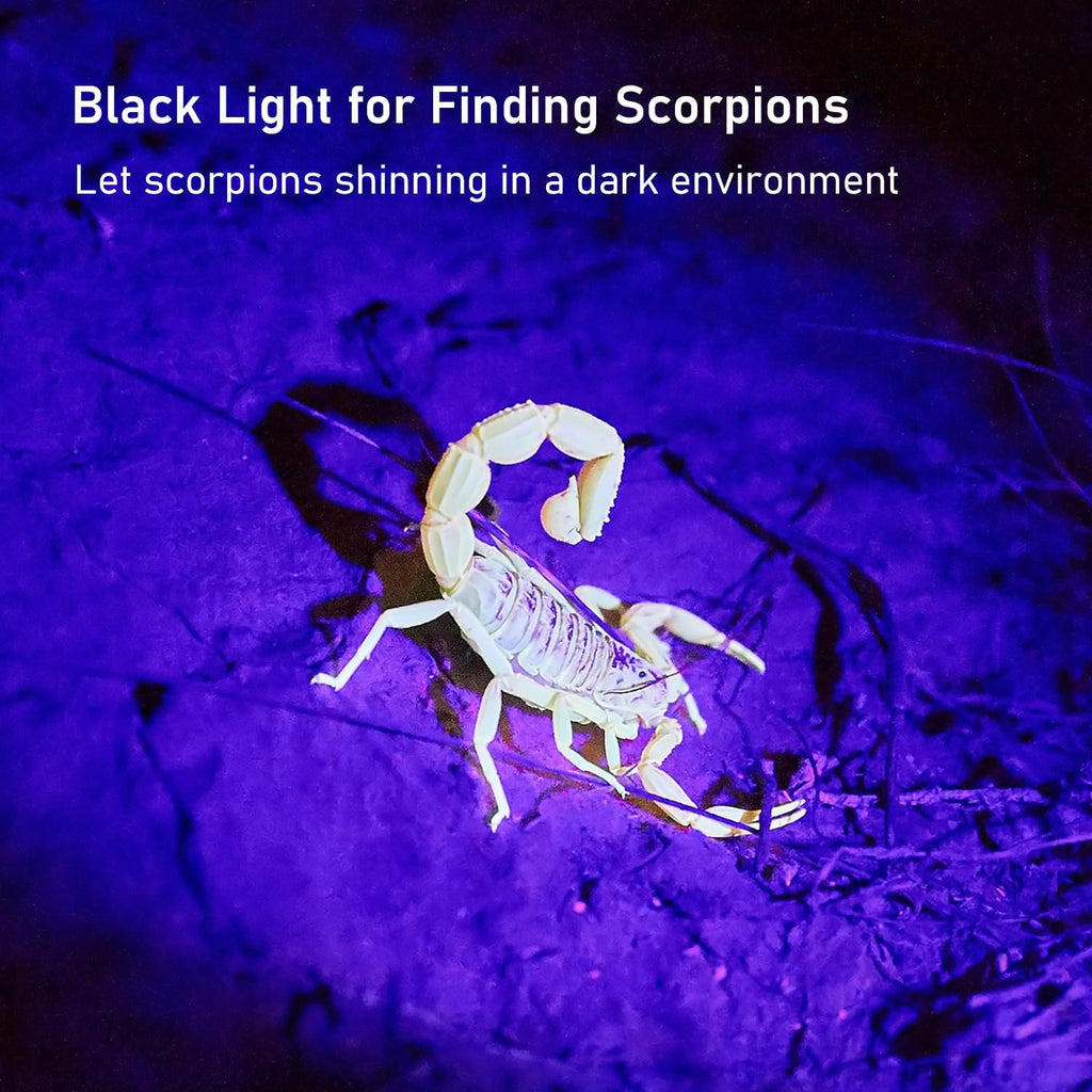 GLOSSDAY UV Flashlight Black Light, 100 LED Black Light Flashlight for Dog/Cat Pet Detector, Scorpions Finder