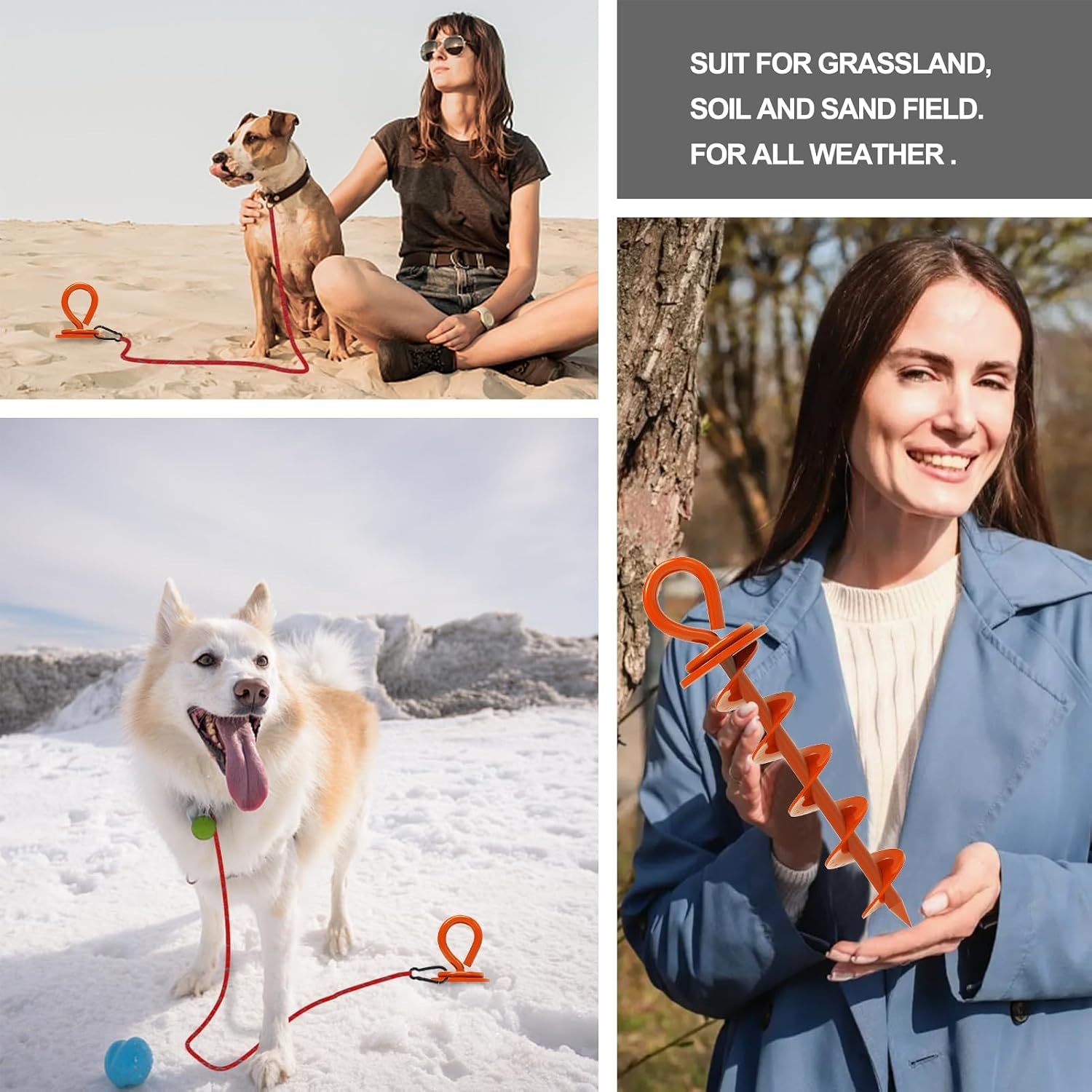 Eurmax USA 2-Pack Heavy Duty Dog Tie Out Stake, No-Tangle In Ground Anchor Runner for Large Dogs up to 210 Lbs - Perfect for Yard, Beach and Camping (Medium,Orange)