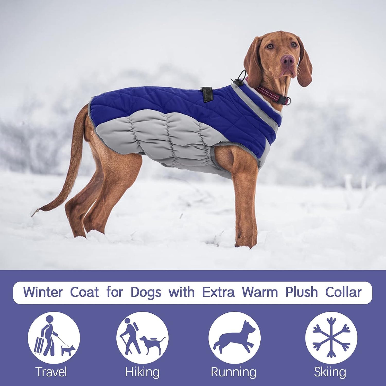 FUAMEY Dog Coat for Small Dogs, Fleece Dog Winter Jacket with Harness