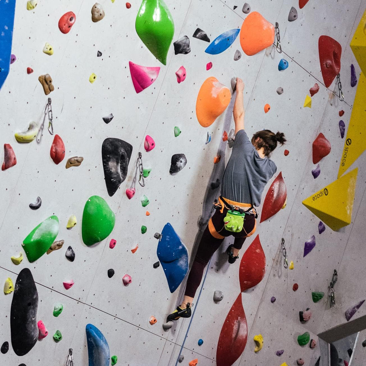 T-Rex Dinosaur Rock Climbing Chalk Bag - Cute Novelty Design for Climbers