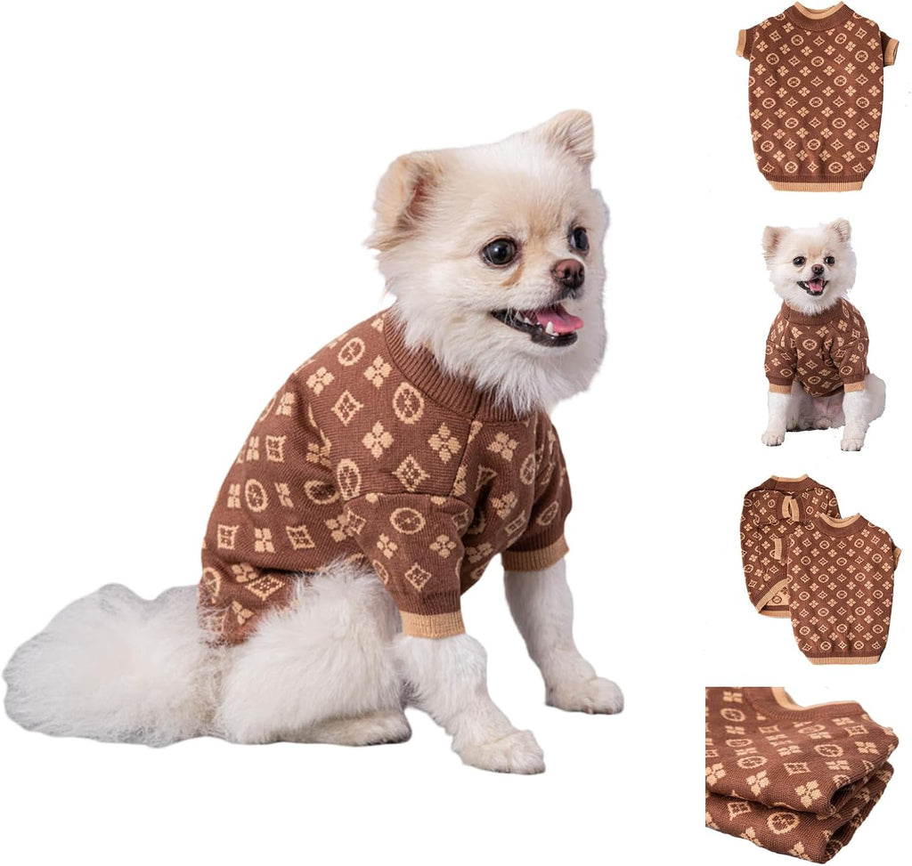 Dog Sweater for Small Dogs, Designer Dog Clothes, Luxury Chewy Pawtton Knit