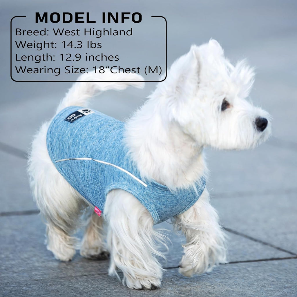 KYEESE 2Pack Reflective Dog Shirt, Lightweight Sun Protection Dog T Shirts for Small Dogs Boy, Breathable Sleeveless Pet Tank Top Summer Dogs Clothes for Night Walking Outdoor, Lake Blue+Blue, M