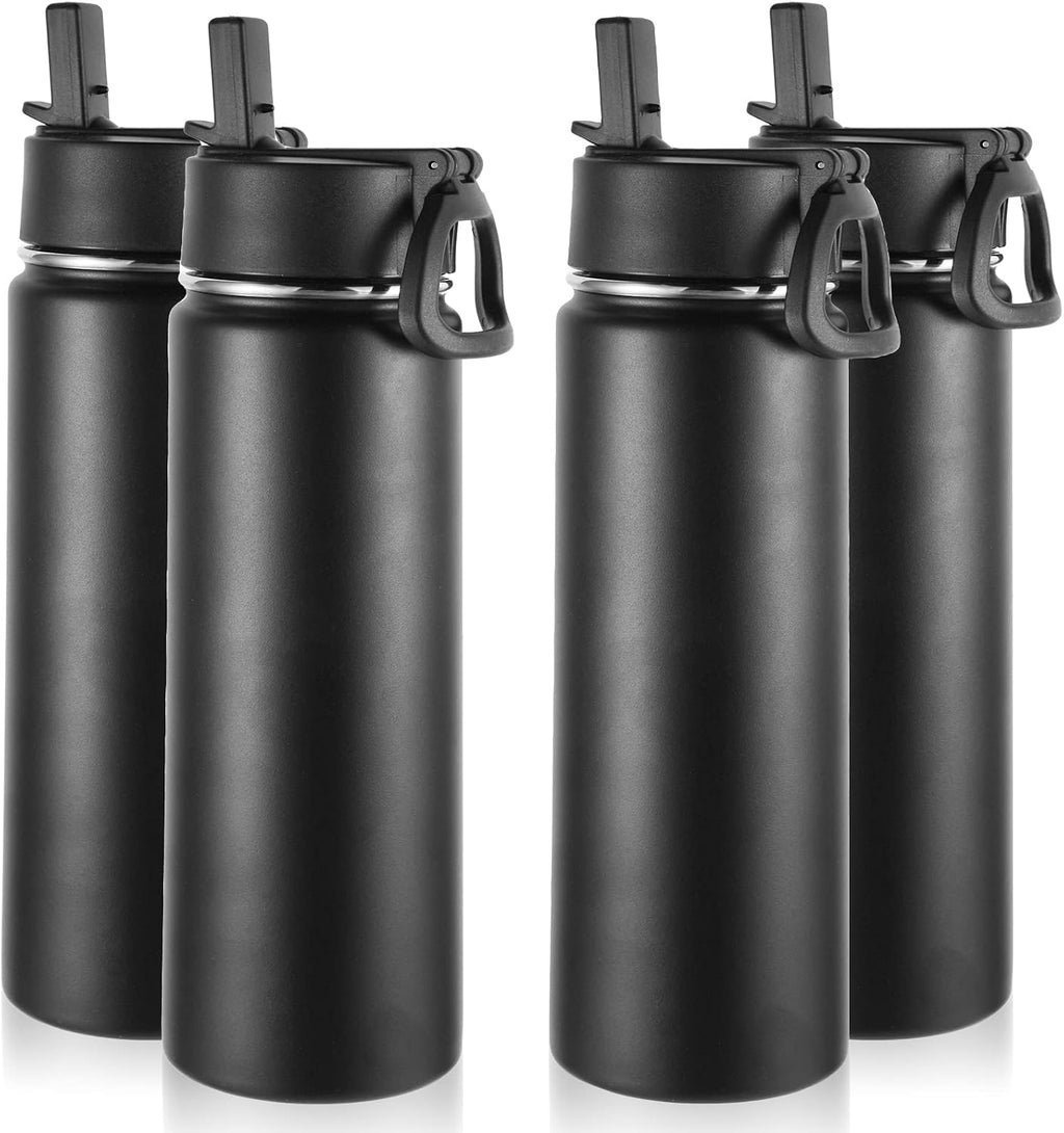 Volhoply Insulated Water Bottles with Straw Bulk 4 Pack, 22 oz Stainless Steel Sports Bottle with Handle Lid,Double Walled Vacuum Metal Water Cups with Wide Mouth, Reusable Waterbottle(Mix,4 Set)