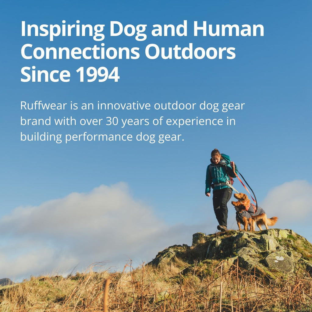 Ruffwear, Palisades Dog Backpack, Glacier Lake, Small