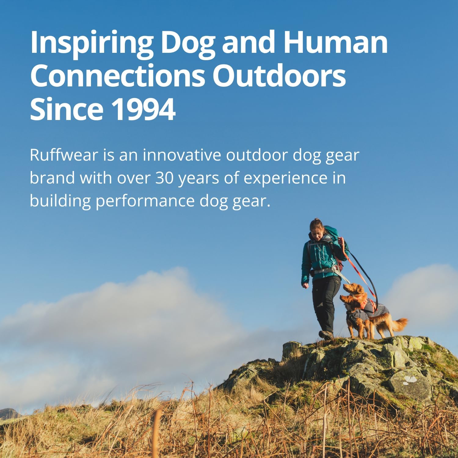 Ruffwear, Palisades Dog Backpack, Glacier Lake, Small