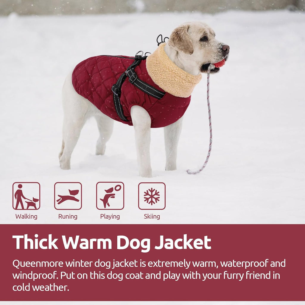 Queenmore Dog Winter Jacket, Dog Coat for Large Dogs with Harness Built in