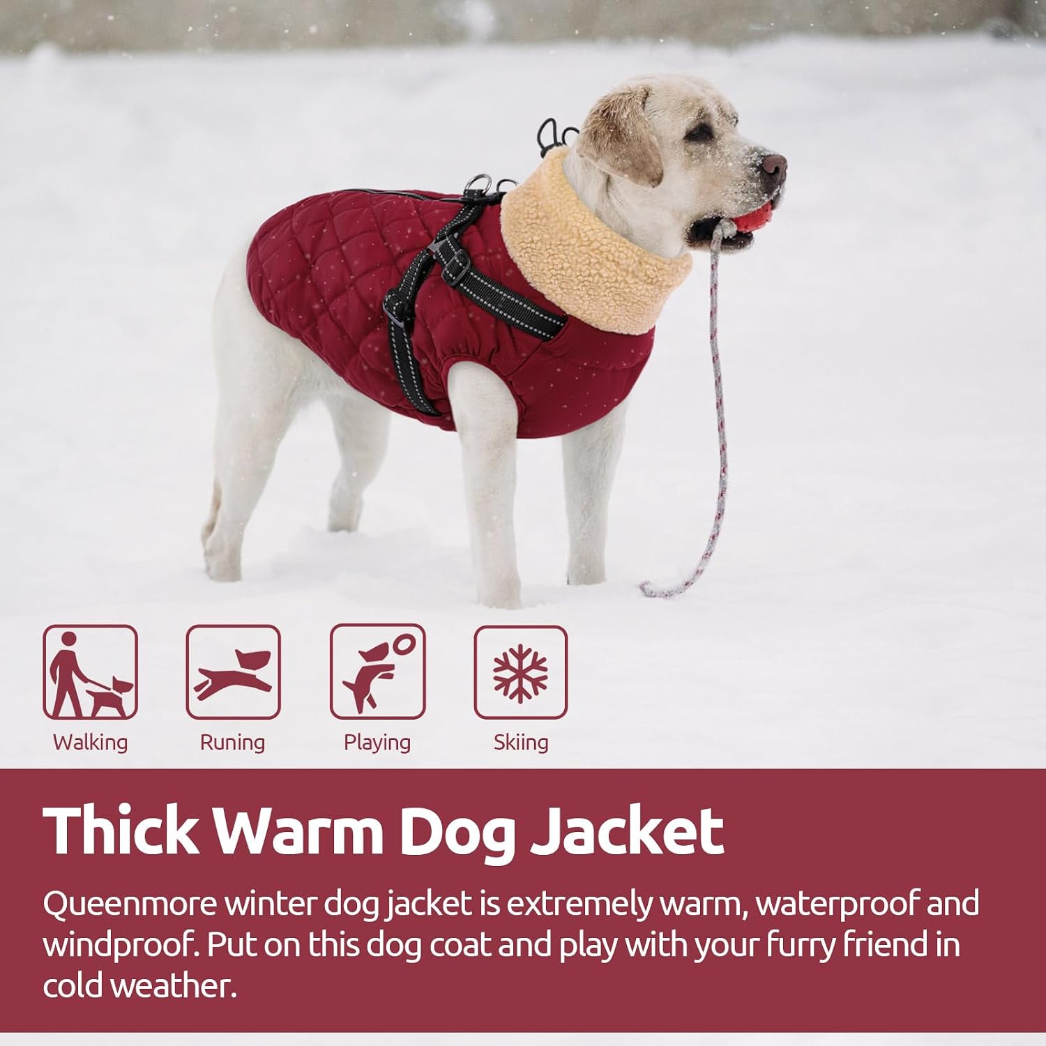 Queenmore Dog Winter Jacket, Dog Coat for Large Dogs with Harness Built in