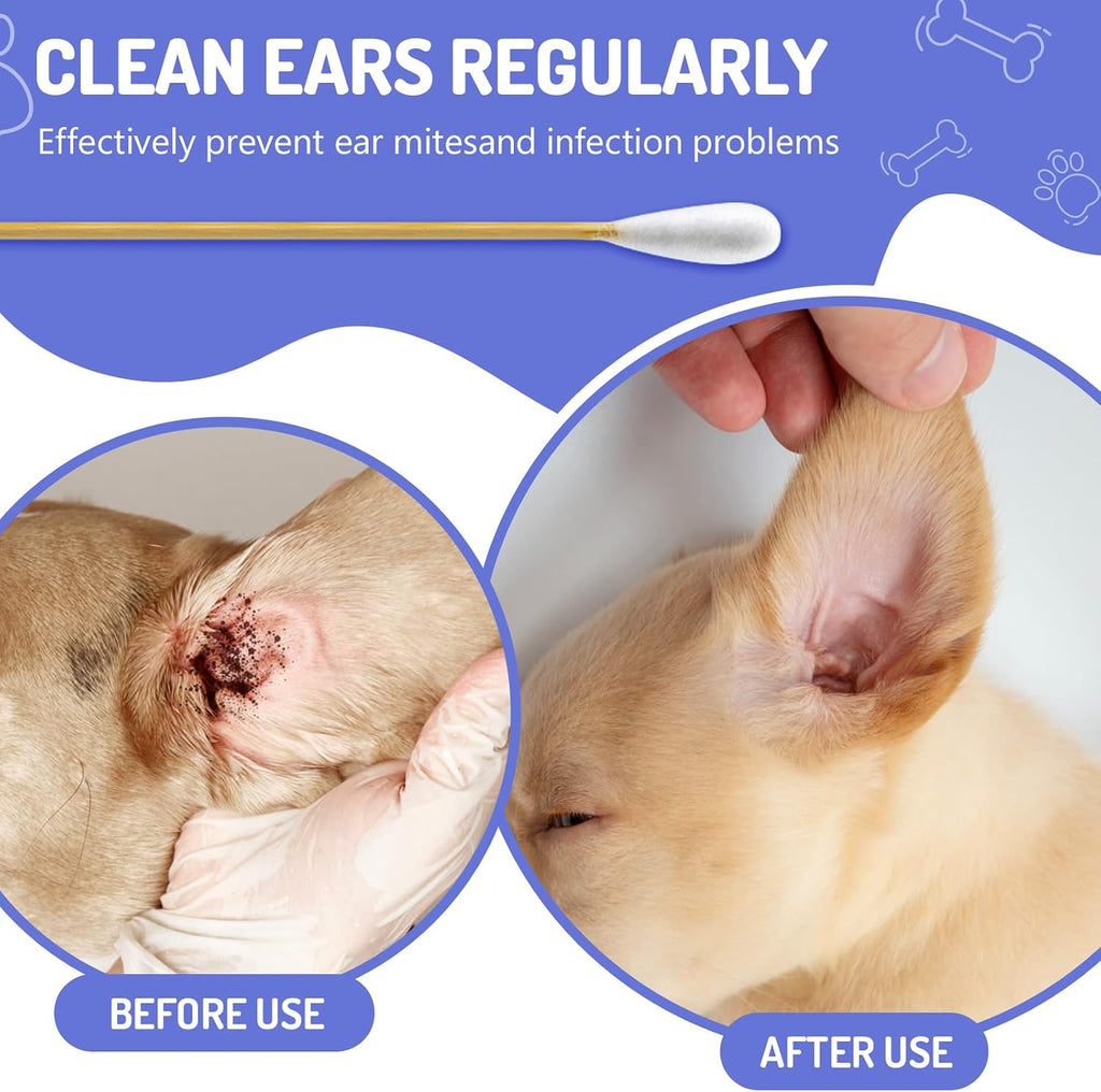 200PCS Large Cotton Swabs in Storage Box, 6 Inch Dog Ear Swabs