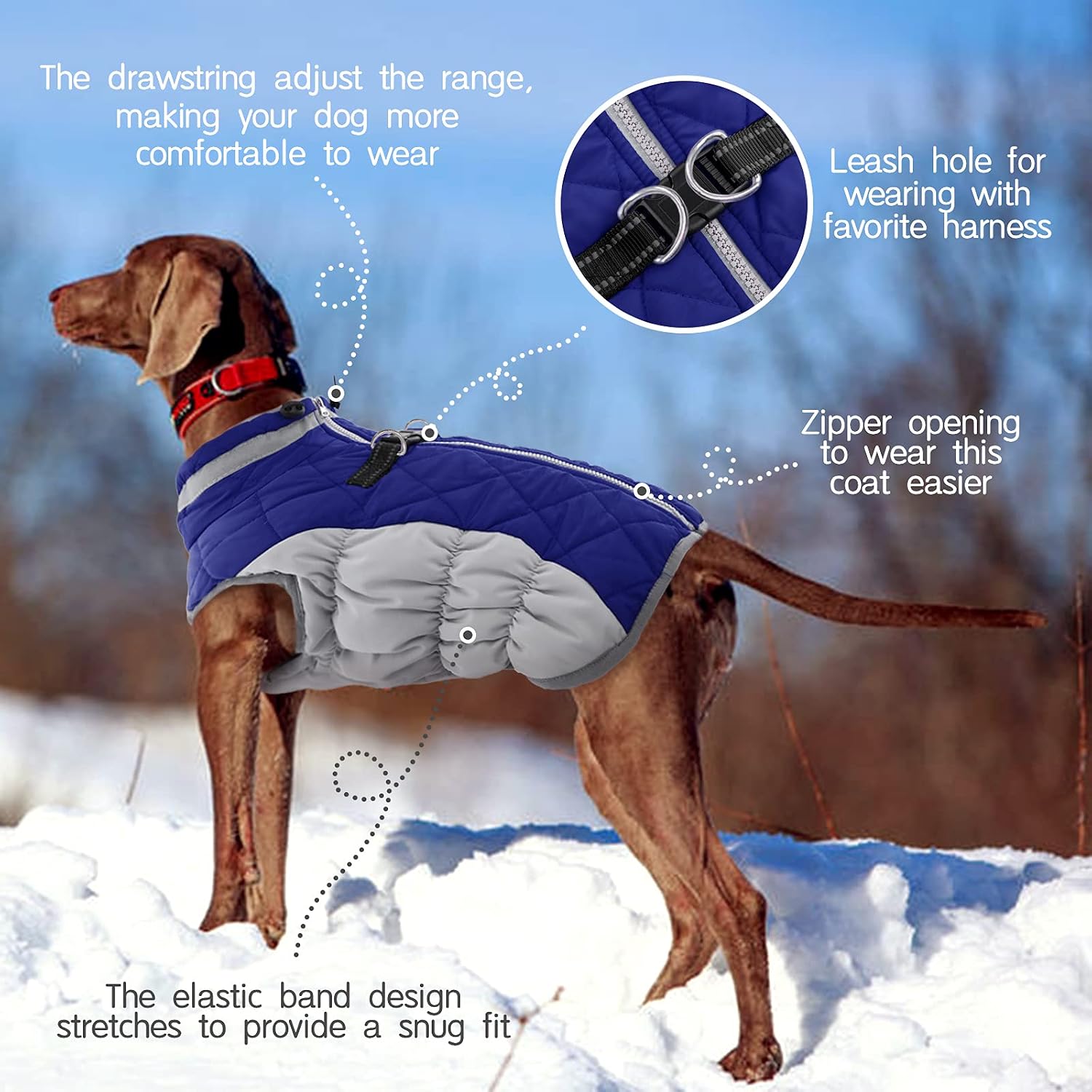 FUAMEY Dog Coat for Small Dogs, Fleece Dog Winter Jacket with Harness