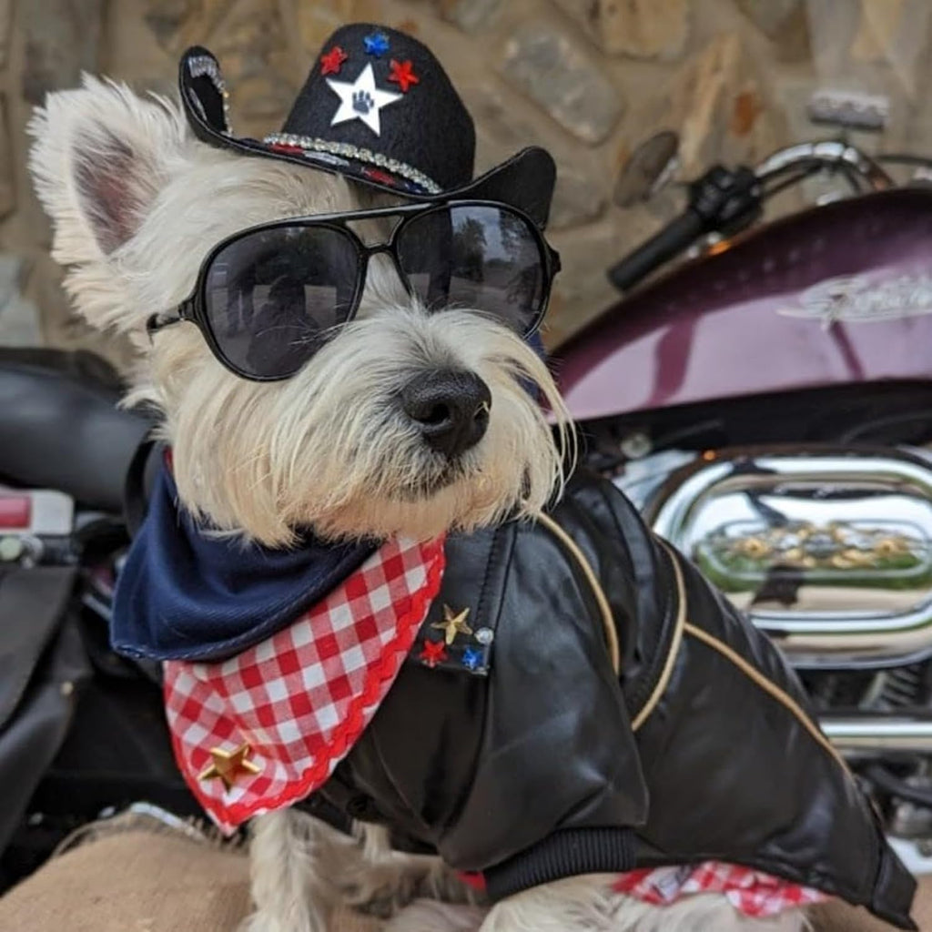 Dog Winter Coat Pu Leather Motorcycle Jacket for Dog Pet Clothes Leather Jacket, Waterproof(L)