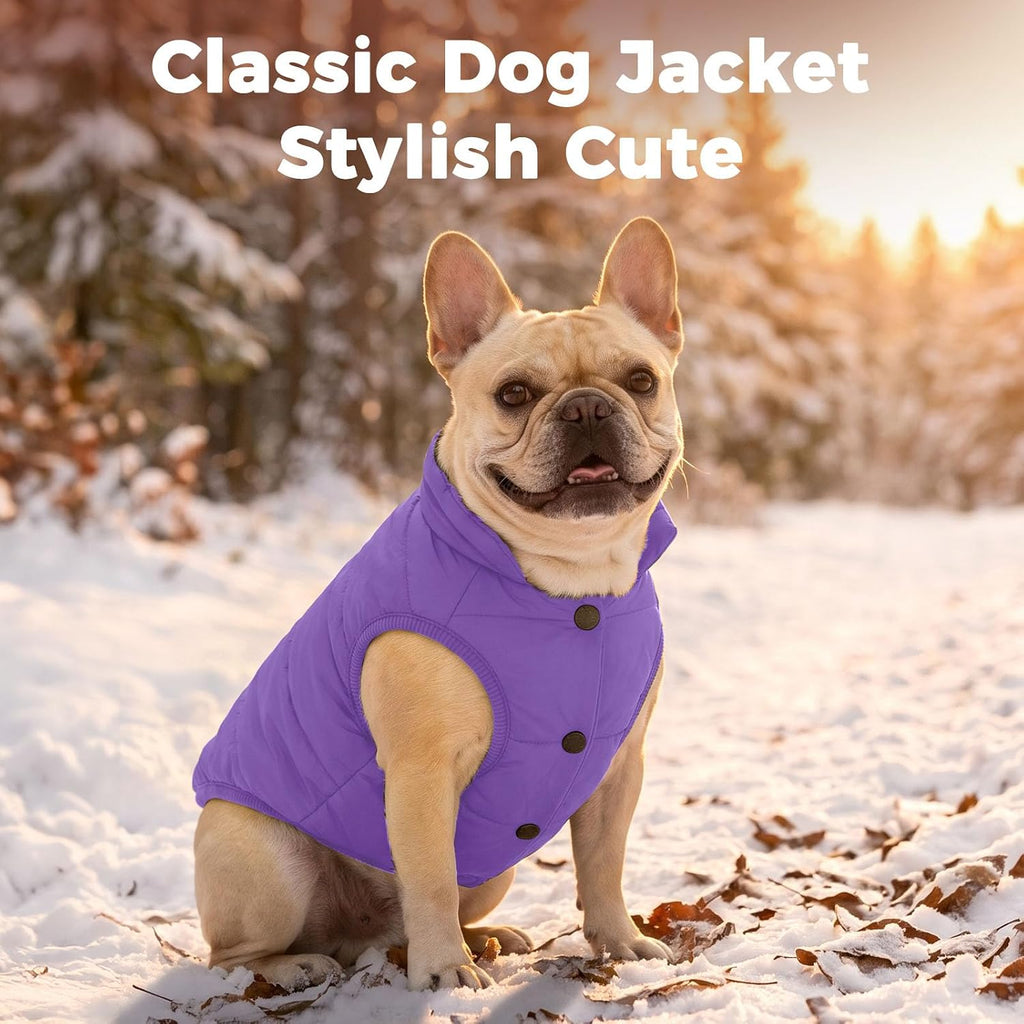 JoyDaog Fleece Lined Dog Jacket for Small Dogs,Winter Dog Coat,Purple M