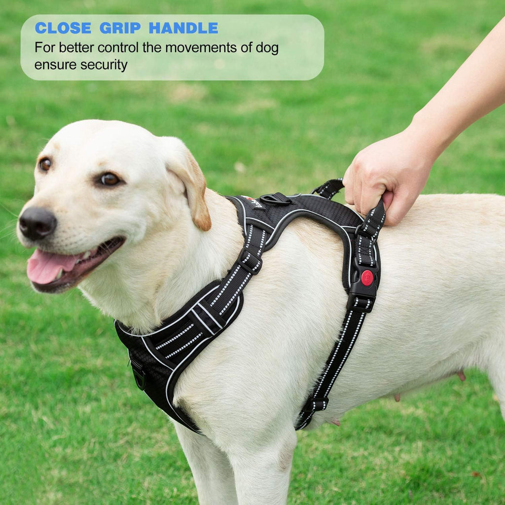 tobeDRI No Pull Dog Harness Adjustable Reflective Oxford Easy Control Medium Large Dog Harness with A Free Heavy Duty 5ft Dog Leash, Blue, L