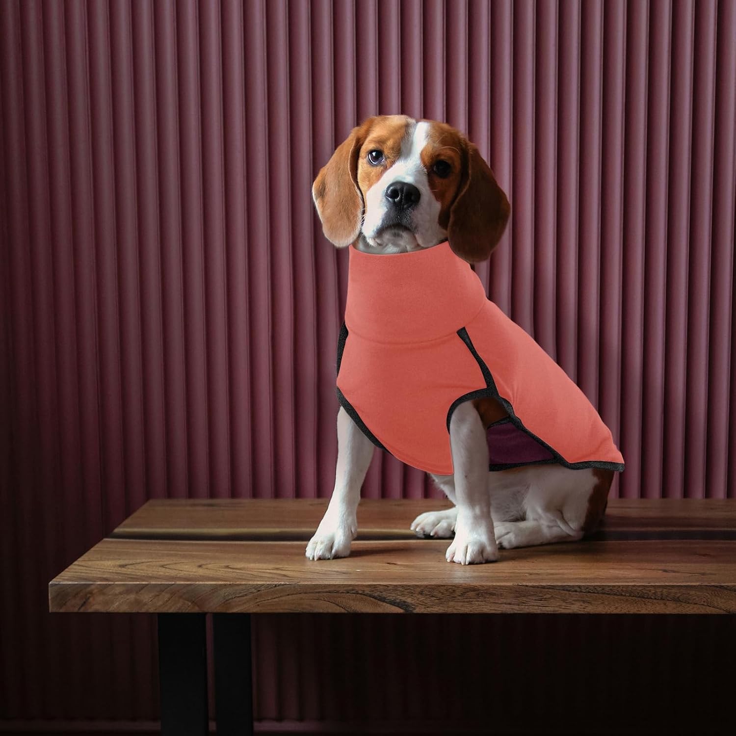 ROZKITCH Dog Sweater S, Warm Turtleneck Shirt for Medium Dogs