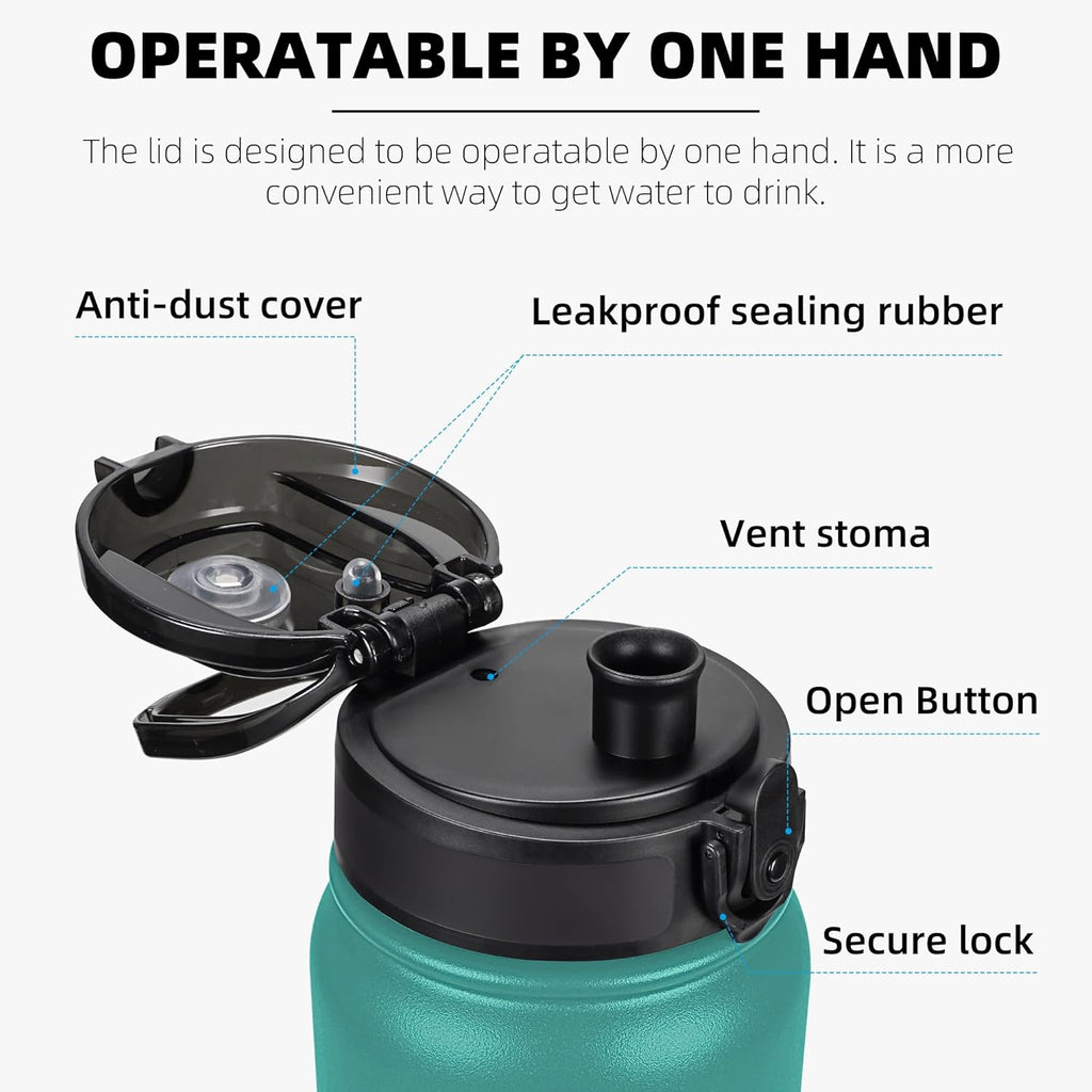 Fanhaw 20oz Insulated Water Bottle with Anti-dust Chug Lid, Green Blue