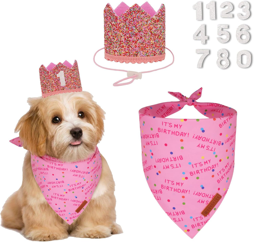 ADOGGYGO Dog Birthday Hat, Pink Birthday Girl Bandana & Tutu Set, Small