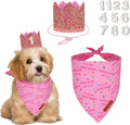 ADOGGYGO Girl Dog Birthday Hat, It's My Birthday Bandana Set, Pink, Small