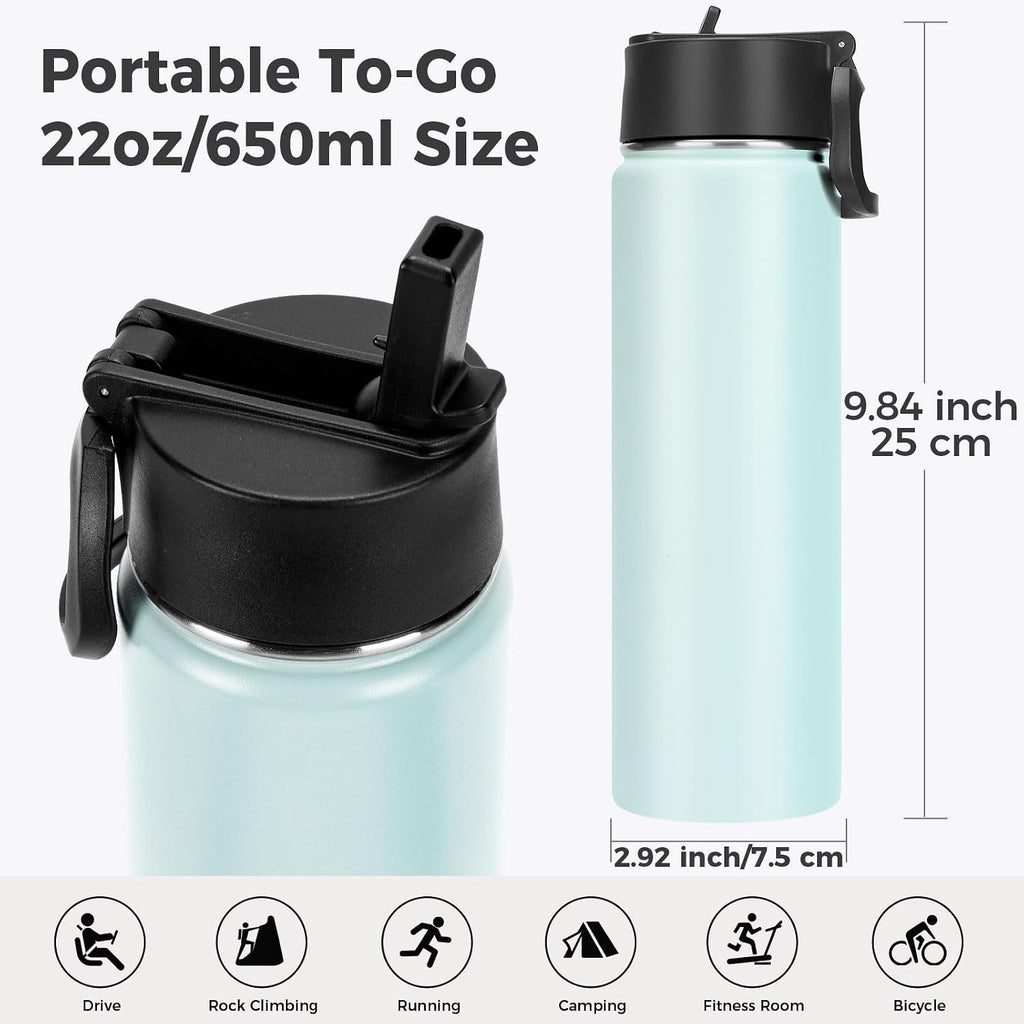 Neihepal 22 oz Insulated Water Bottles with Leak Proof Straw Lid, Wide Mouth Double Walled Vacuum Stainless Steel Metal Water Bottle (Fog,2 Pack)