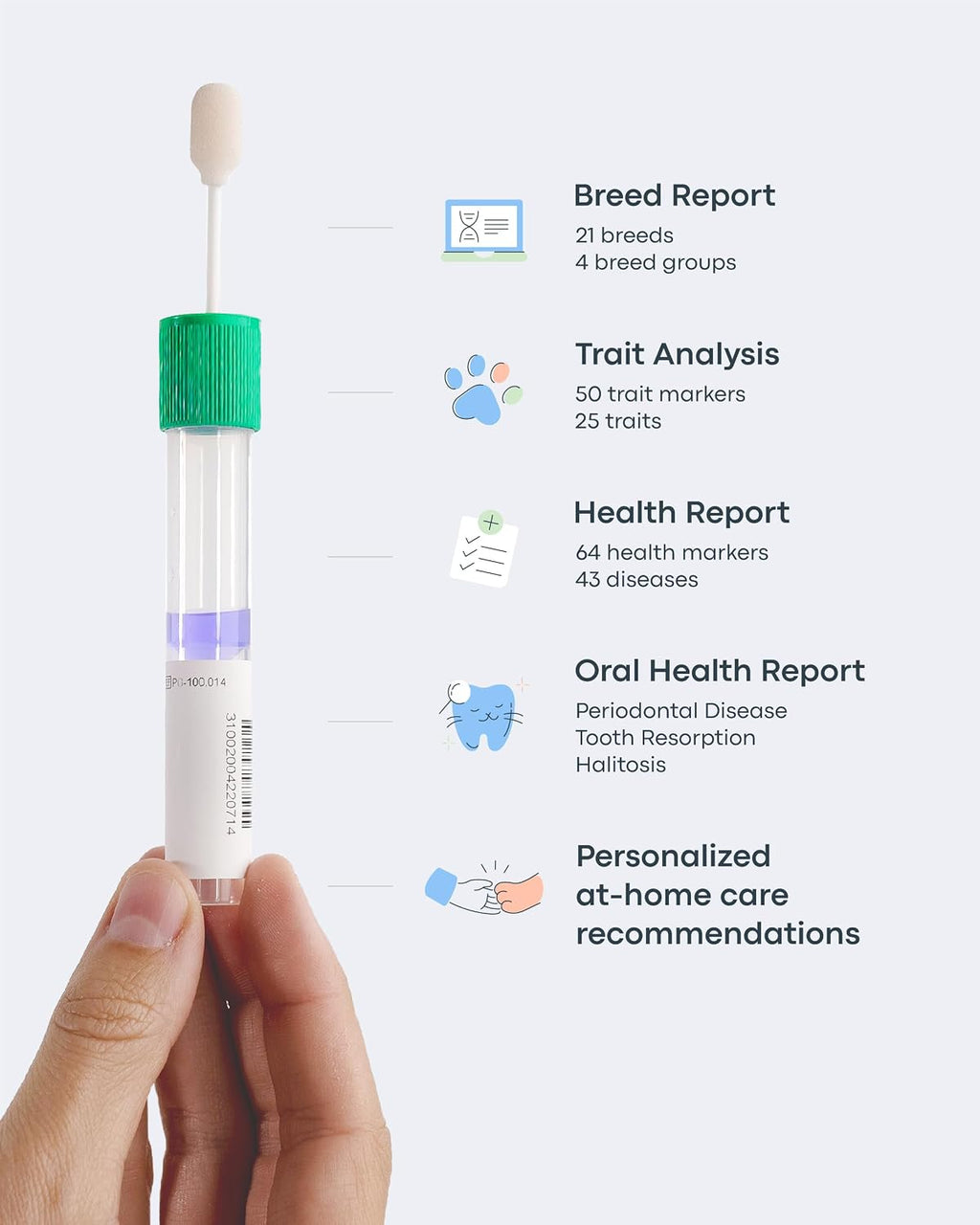 Basepaws Cat DNA Test Kit, Breed, Health & Dental Insights, 114 DNA Traits