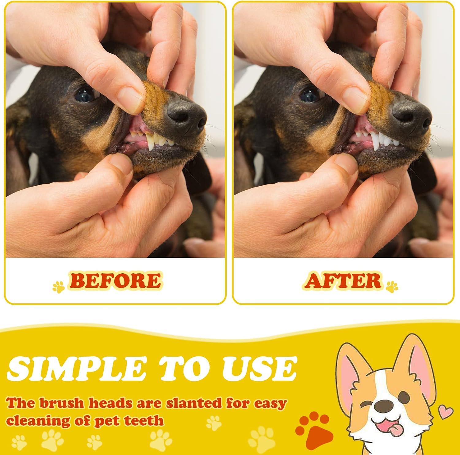 Nuenen 150 Count Dual-Head Dog Toothbrushes, Long Handle Pet Dental Brushes