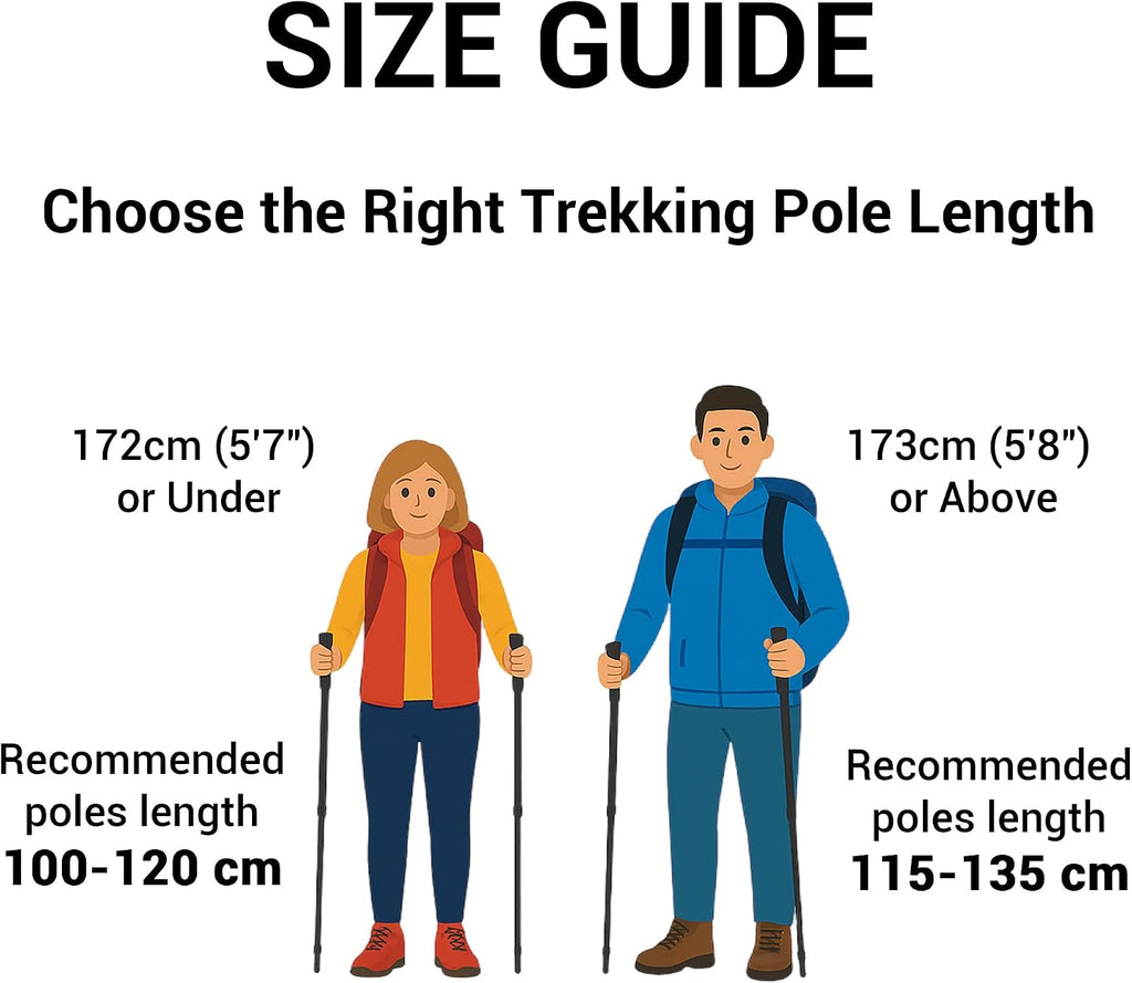 TheFitLife Folding Trekking Poles for Hiking, Lightweight Walking Sticks
