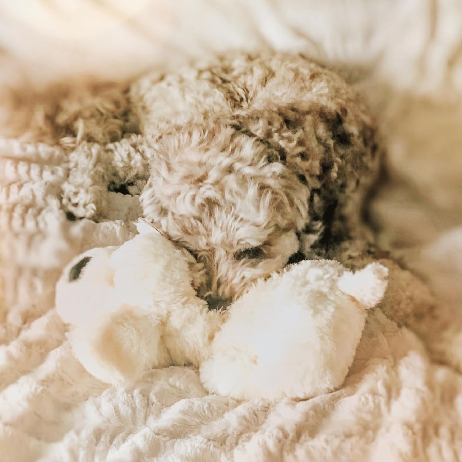 Snuggle Puppy Heartbeat Toy, Calming Comfort, Medium Breeds - Cream