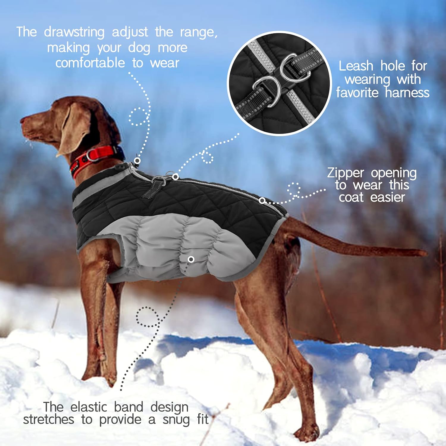 FUAMEY Dog Coat for Small Dogs, Fleece Dog Winter Jacket with Harness