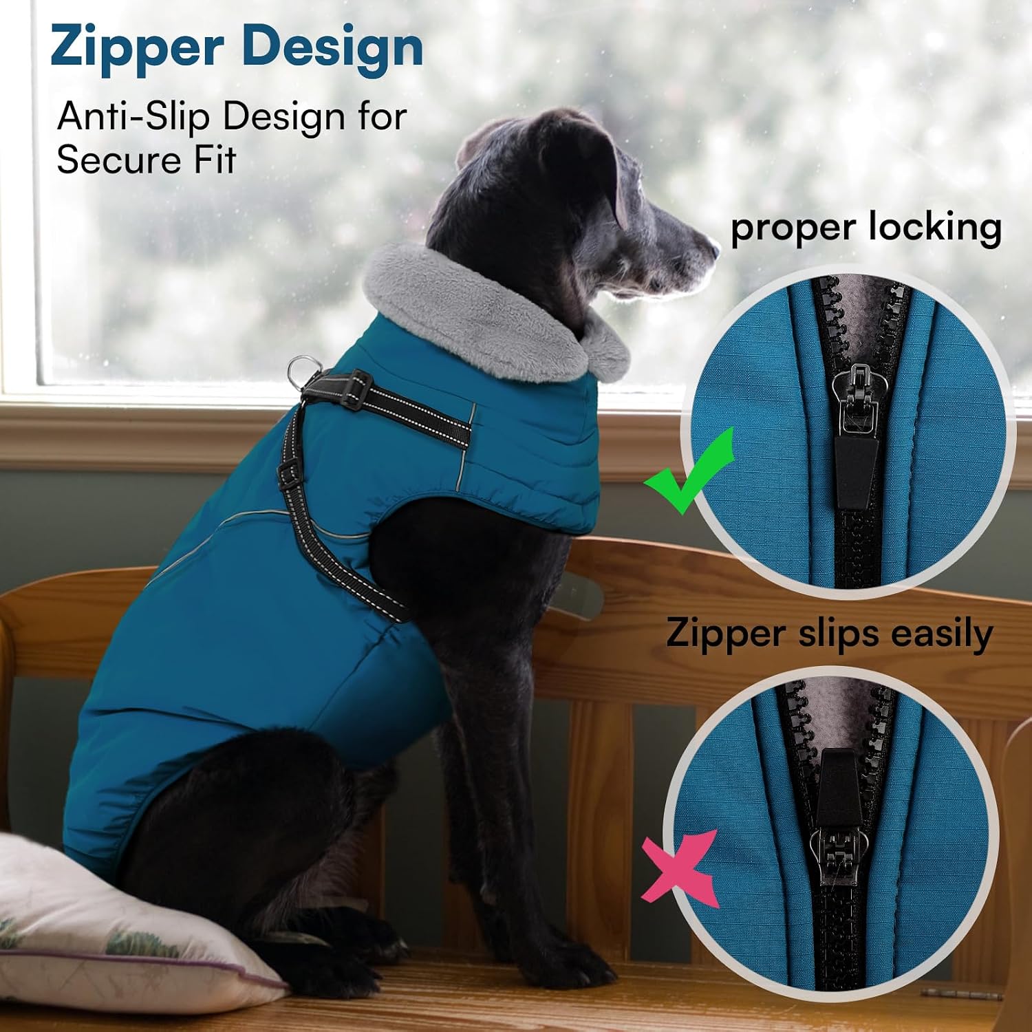 Queenmore Small Dog Coat, Dog Coat for Small Dogs with Harness Built in