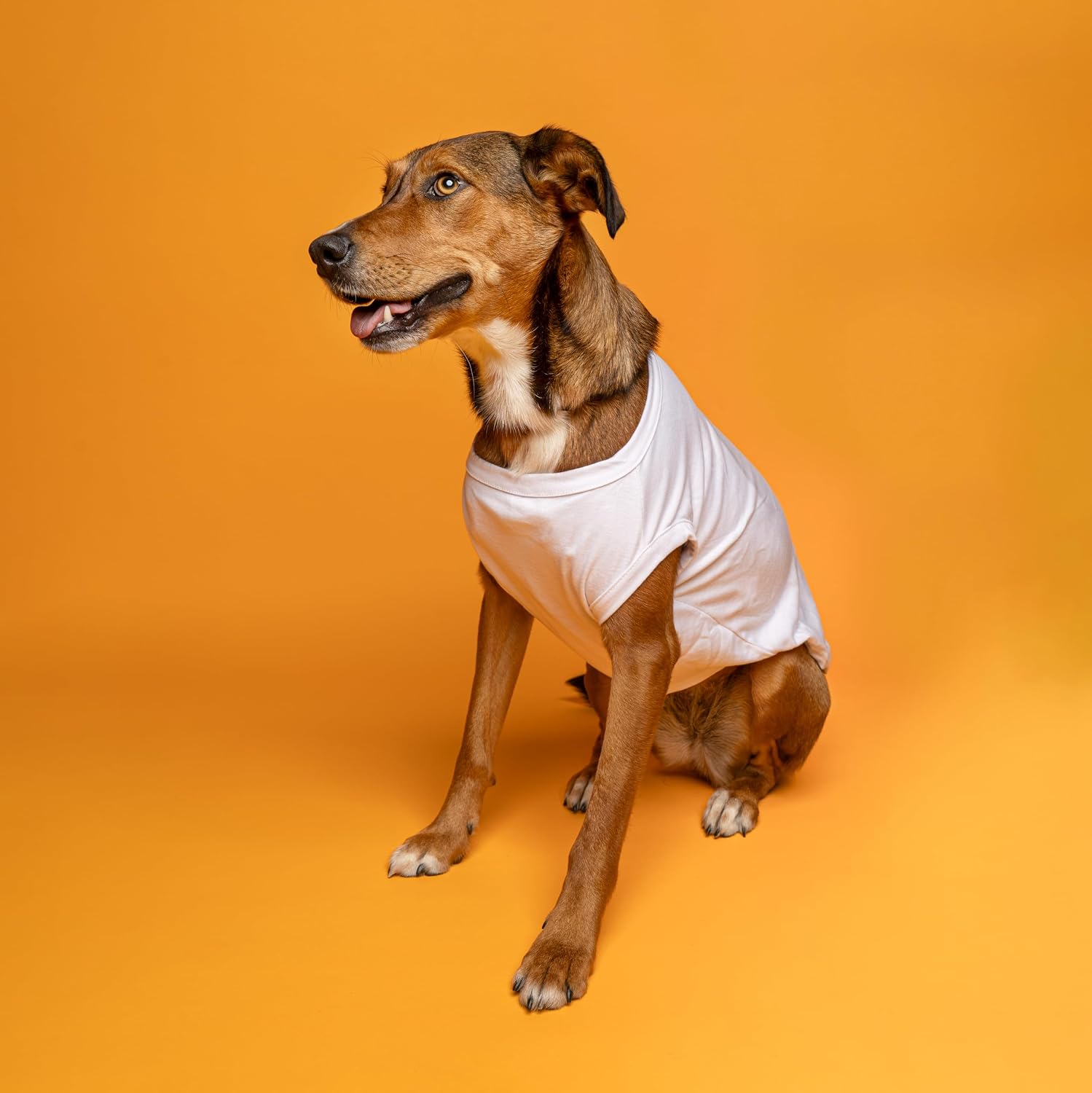 Pink Or Blue? We Love You Dog Tee Shirt | Sleeveless Breeds | Gender Reveal | Baby Announcement | Pregnancy Reveal | Boy or Girl |White, Small 824