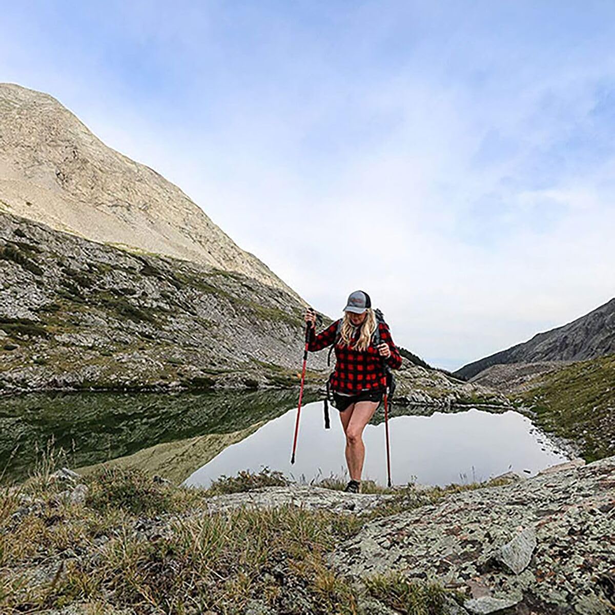 ALPS Mountaineering Trekking Pole