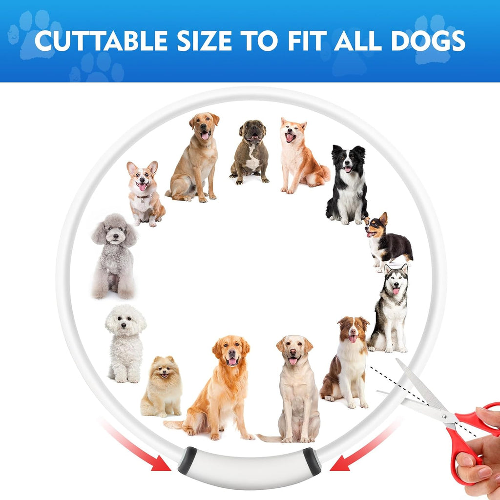 NOVKIN Lighted Dog Collar, Rechargeable 7 Colors Changing Light Up Dog Collar, IP67 Waterproof LED Collar Glow in the Dark, Make Pet Visible and Safety for Night Walking,Outdoor, for All Dogs