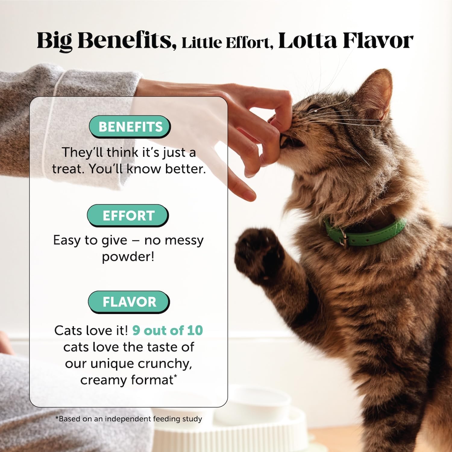 Pet Honesty Vet Approved Cat Teeth Cleaning Bites for Fresh Breath, 30 Day