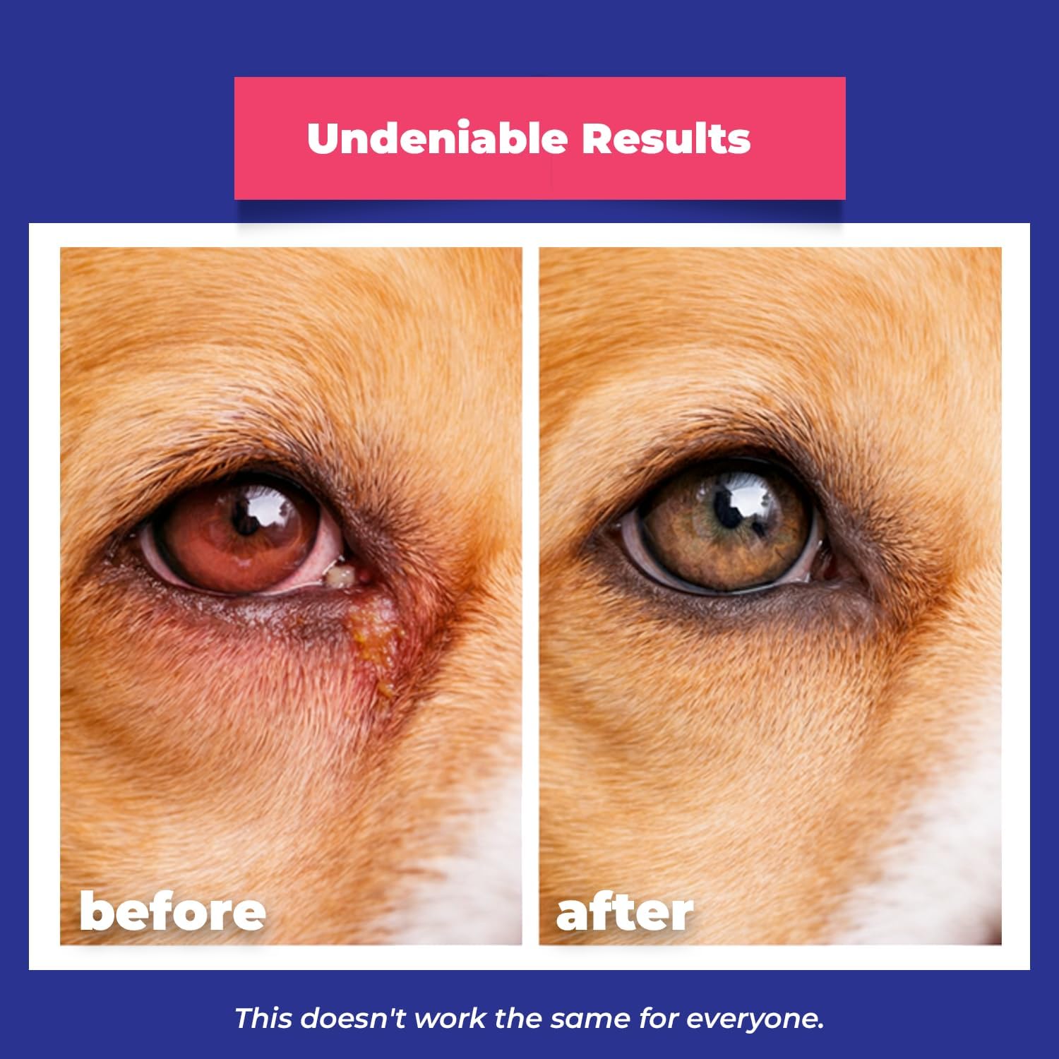 EYEMYCIN Pet Eye Health for Dogs, Cats, Cattle, Sheep, Horses, Birds and Puppies, Kitten (1 Pack)