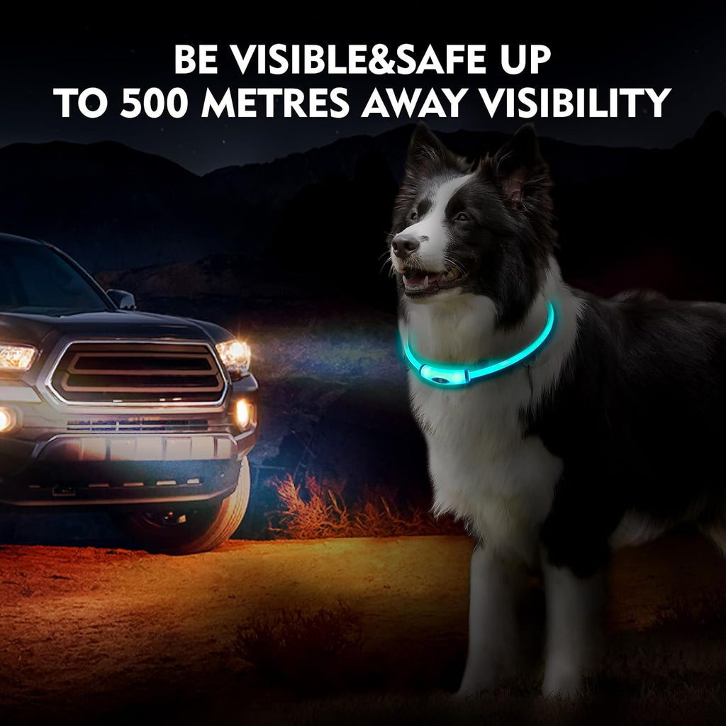 NOVKIN Lighted Dog Collar, Rechargeable 7 Colors Changing Light Up Dog Collar, IP67 Waterproof LED Collar Glow in the Dark, Make Pet Visible and Safety for Night Walking,Outdoor, for All Dogs