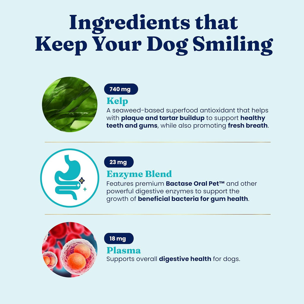 Solid Gold SeaMeal Dog Dental Powder – Plaque & Tartar Control, All Breeds