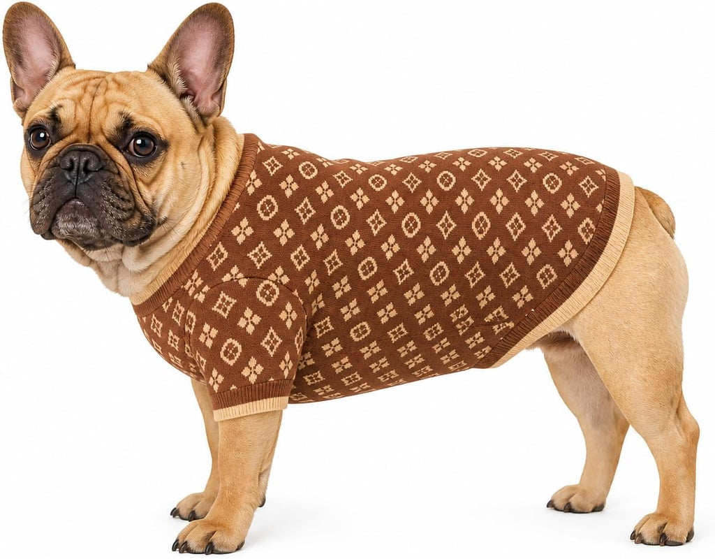 Dog Sweater for Small Dogs, Designer Dog Clothes, Luxury Chewy Pawtton Knit