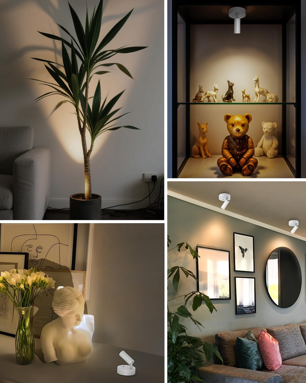 GOODEA Spotlights Indoor with Remote, 3000mAh Rechargeable Plant Spotlight