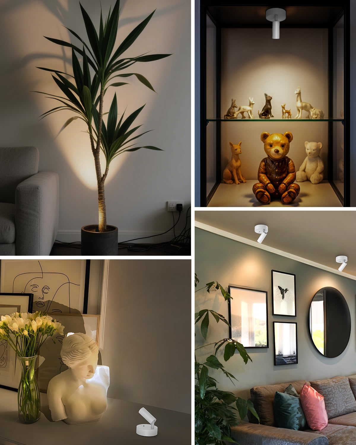 GOODEA Spotlights Indoor with Remote, 3000mAh Rechargeable Plant Spotlight