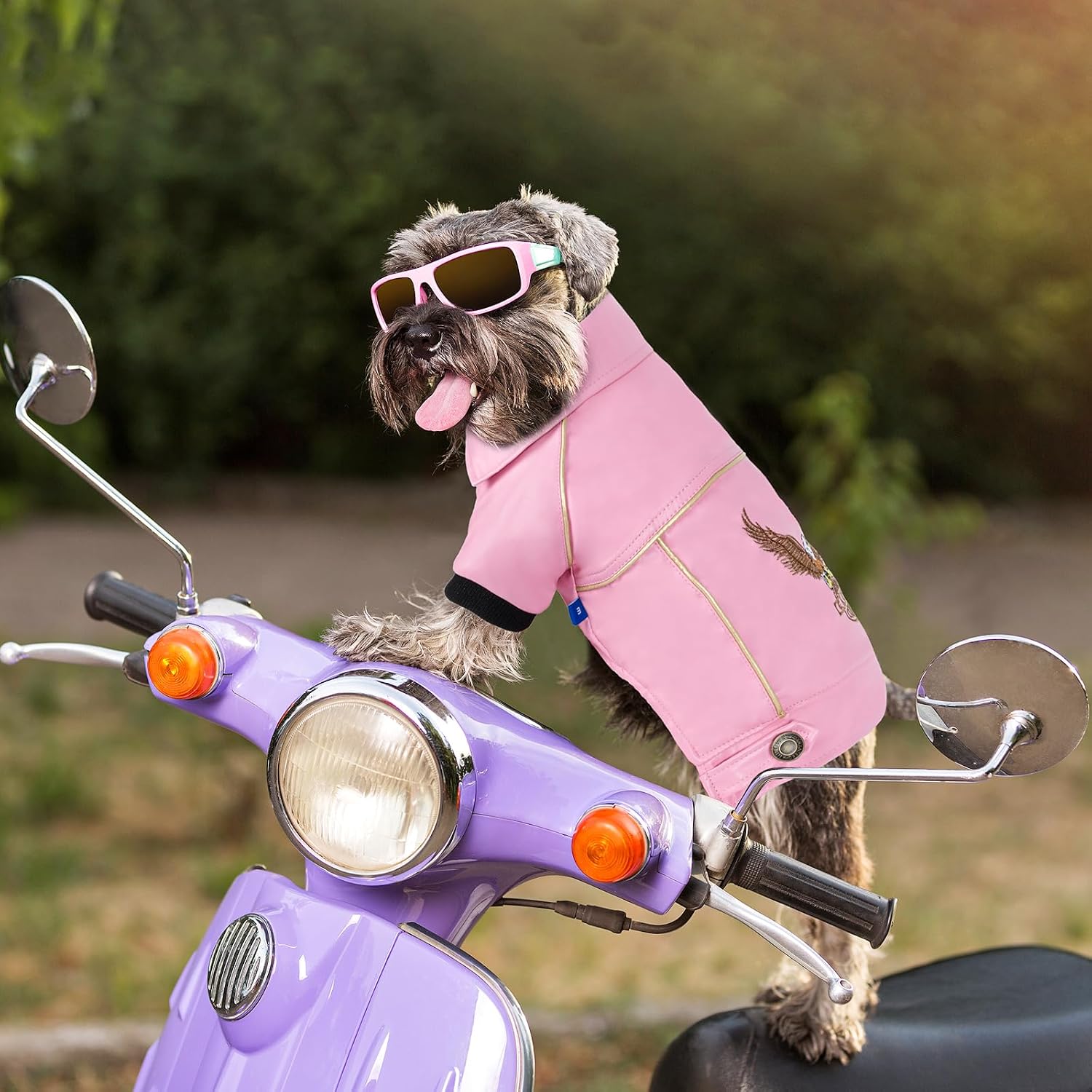 Dog Leather Jacket - Cute Leather Dog Jackets Motorcycle Clothes with Buttons Pet Waterproof Winter Coat for Small Medium Dogs(Pink, L)