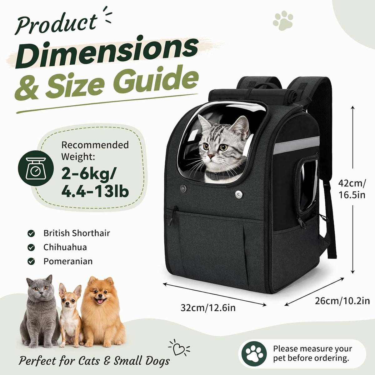 Apollo Walker Cat Backpack Carrier for Small Dogs and Cats, Black