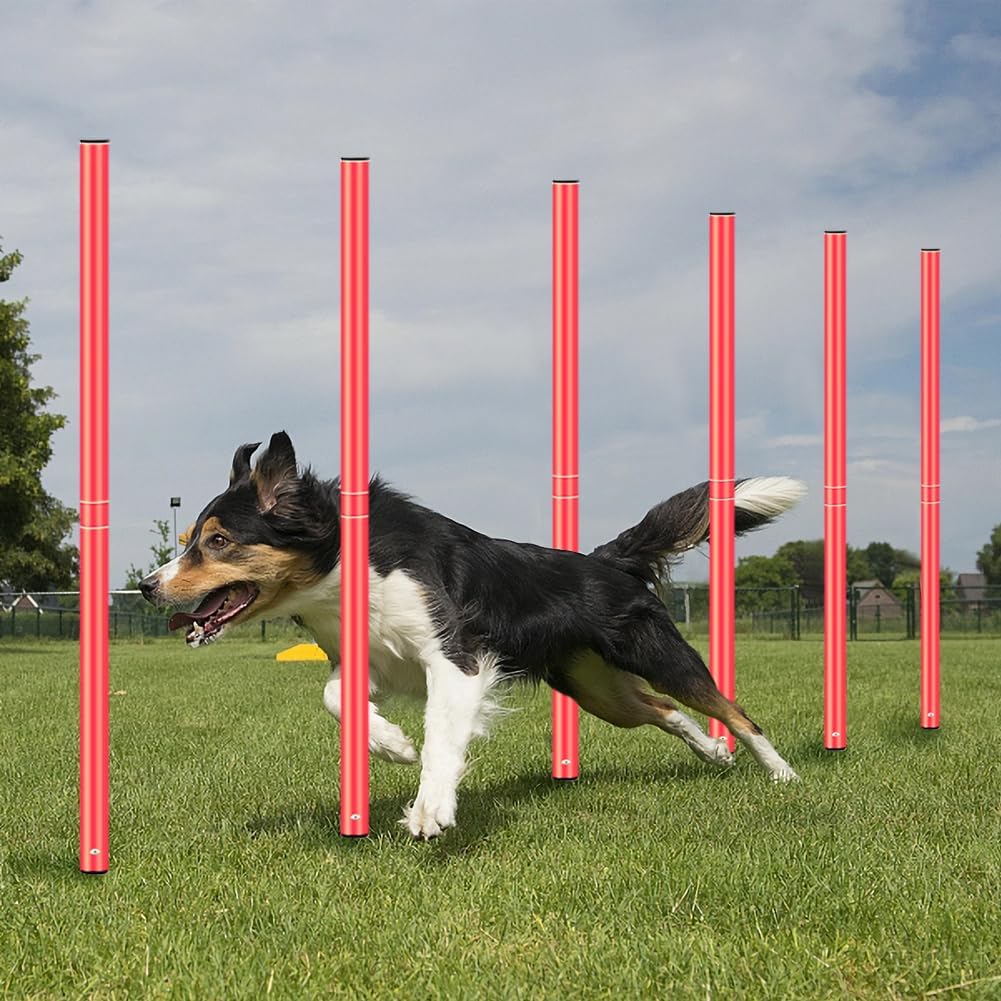 HOTOOLME Agility Training Poles Equipment Soccer Training Equipment Includes 6 Agility Poles,Agility Ladder, 10 Soccer Cones,Jump Rope for Speed Training, Soccer Training, Basketball Athletes & Kids