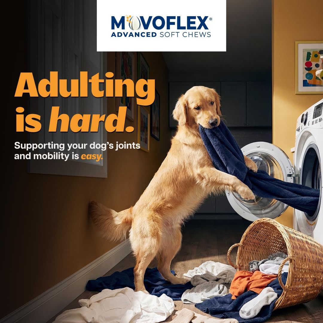MOVOFLEX Advanced Soft Chews Hip and Joint Support Supplement for Medium Dogs - 60 Count by Virbac