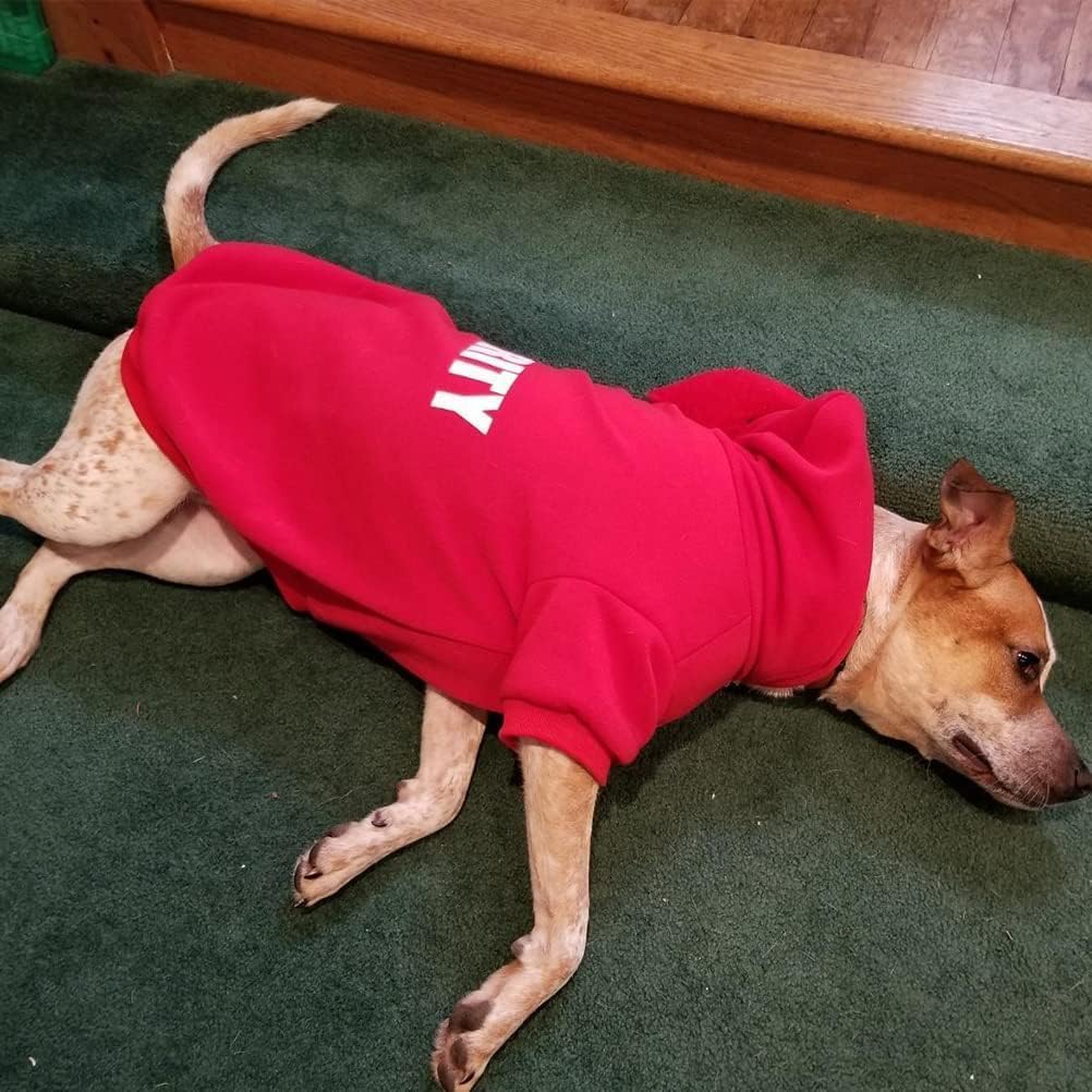 BINGPET Security Dog Hoodie, Pet Sweater Clothes with Leash Hole, Red