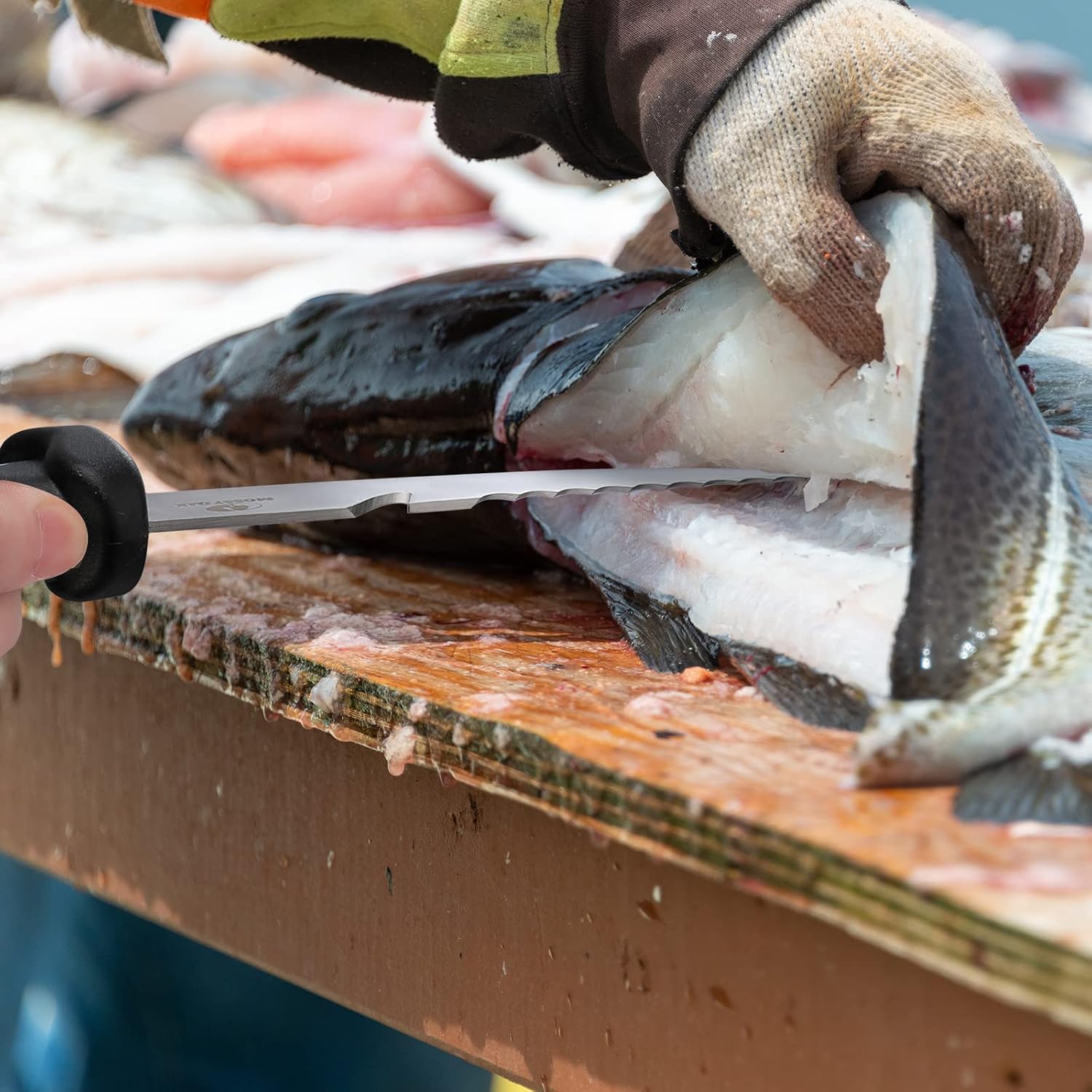 Mossy Oak Fishing Tools Kit – Fishing Plier and Fish Lip Gripper Set
