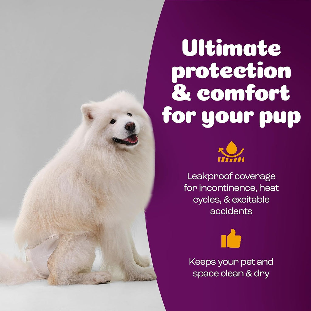 Inspire Pet Care Dog Diapers Female Dogs | Bulk Value Doggie Incontinence