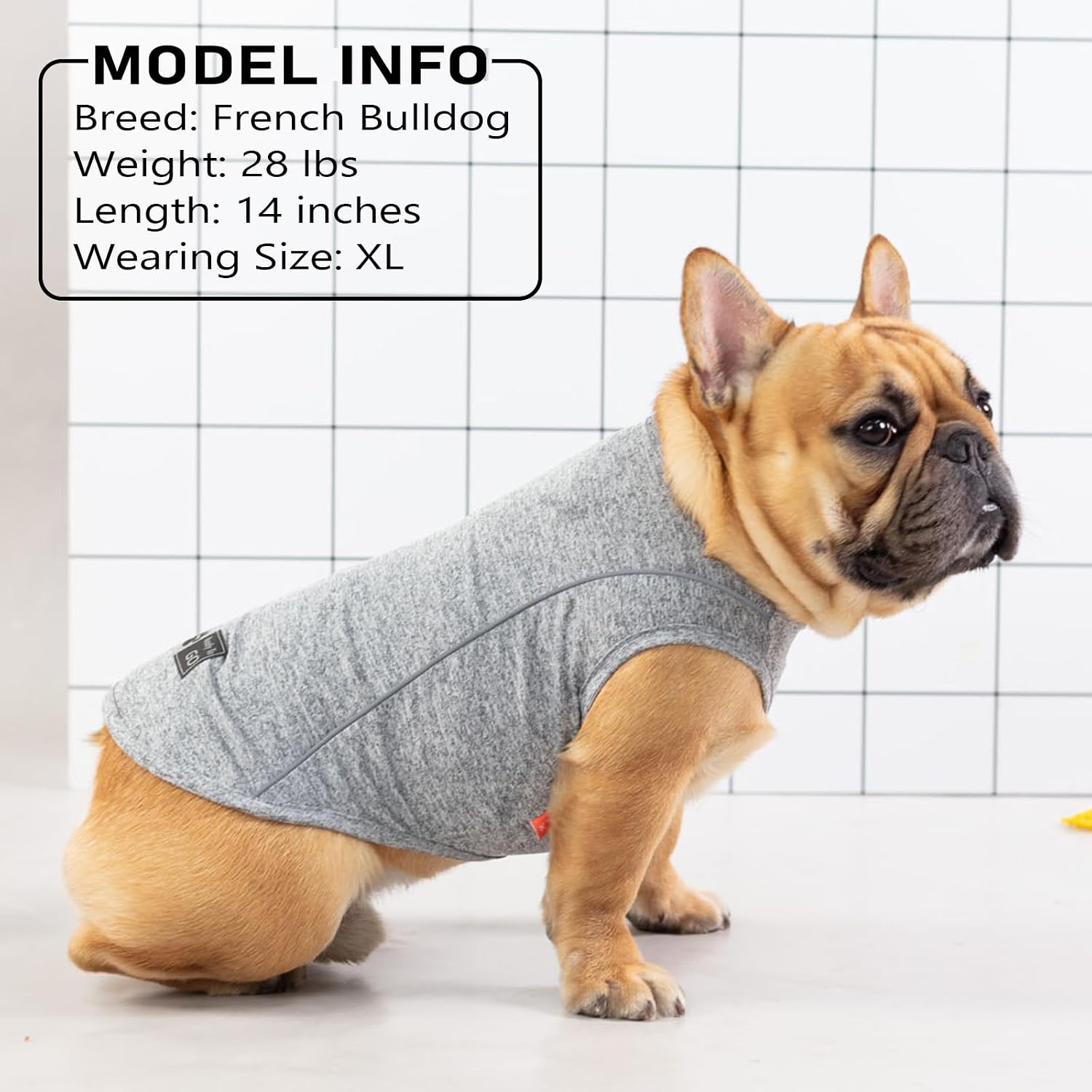 KYEESE 2Pack Reflective Dog Shirt, Lightweight Sun Protection Dog T Shirts for Small Dogs Boy, Breathable Sleeveless Pet Tank Top Summer Dogs Clothes for Night Walking Outdoor, Lake Blue+Blue, M