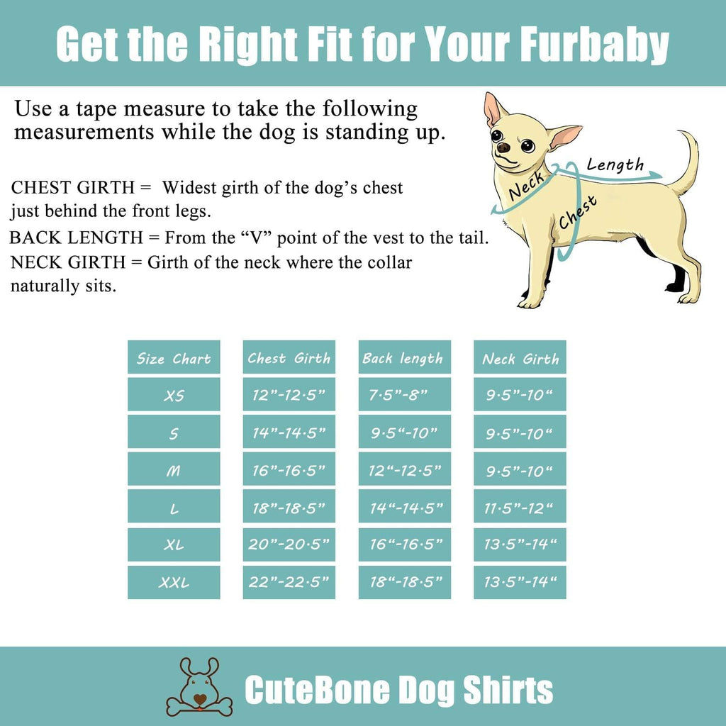 CuteBone Dog Shirts 2-Pack Soft Pet Clothes Breathable Summer Vest for Small Puppy and Stretchy Cat Apparel