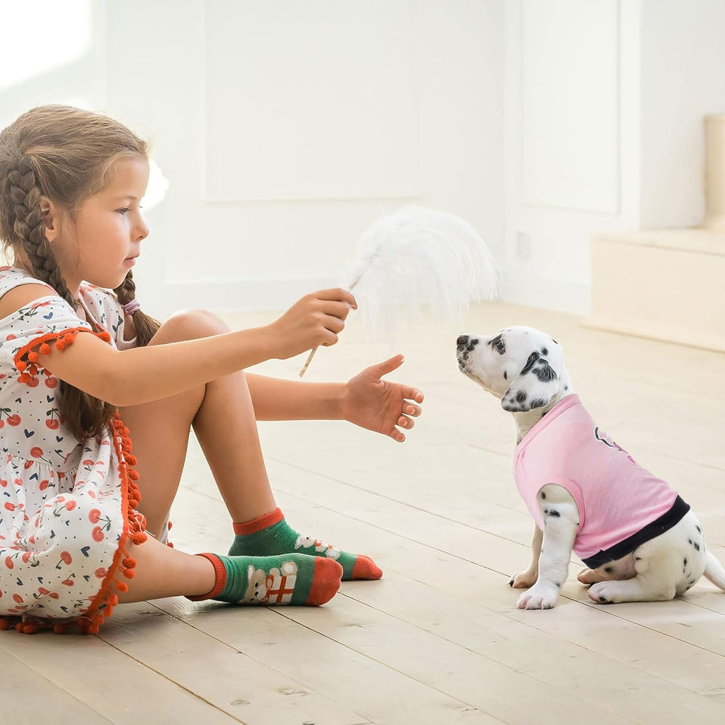 Reginary 8 Pcs Dog Shirts Girl Small Dog Clothes, Vivid Pattern, X-Small