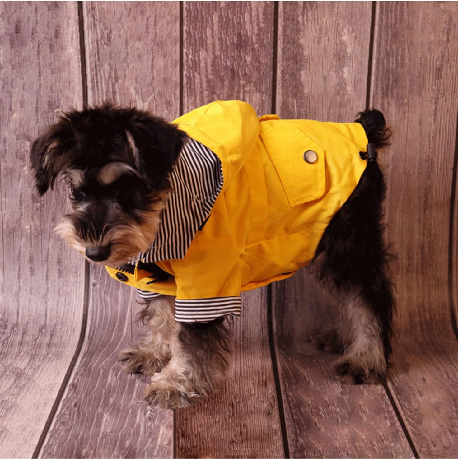 Skateboard Frog Dog Raincoat Jacket Zip up Yellow Hoodie Water Resistant