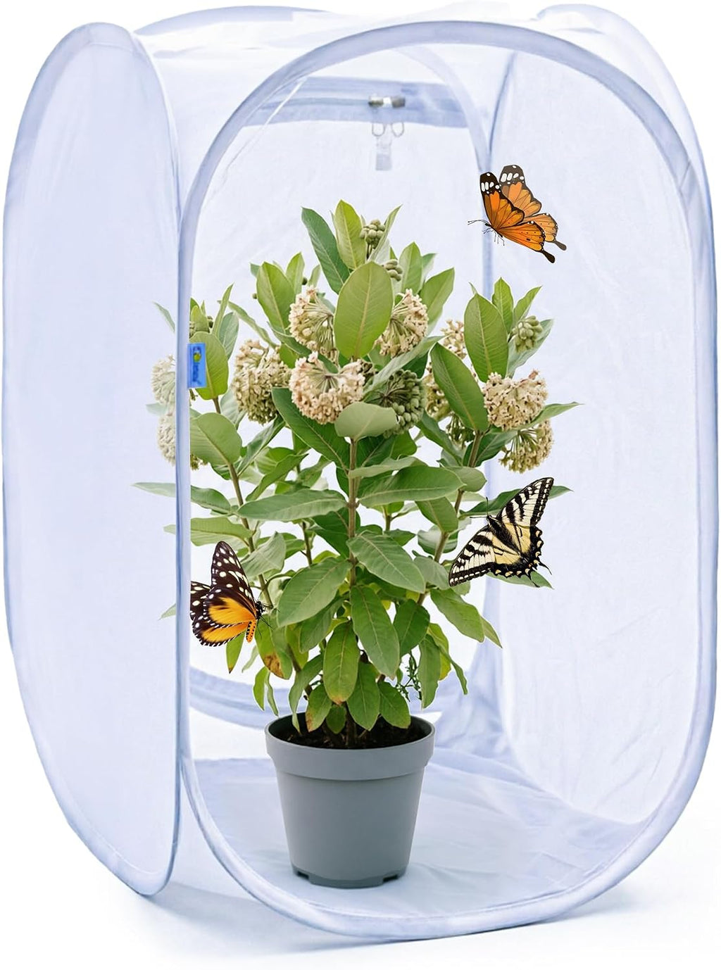 Pop‑up Butterfly Habitat Enclosure with High‑Clear PVC Panel & Fine Mesh